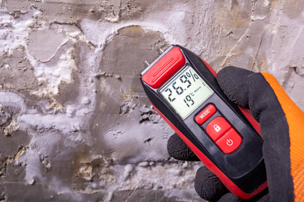 Best Residential Mold Remediation in Occidental, CA